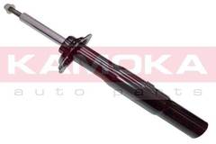 Amortizators 20300038