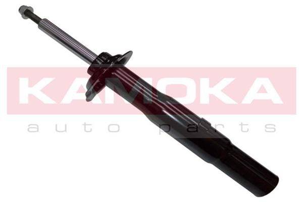 Amortizators 20300037