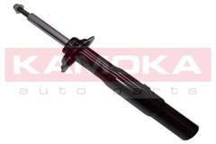 Amortizators 20300037