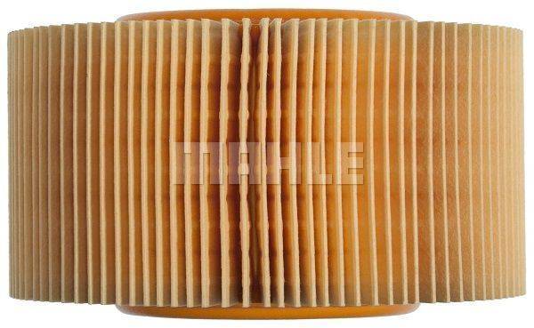 84552017550604020191117-24240-fmfpgc