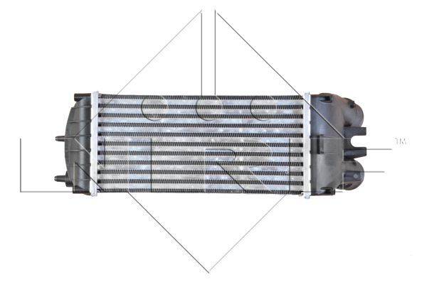 84552016729288320191123-18800-n93n5