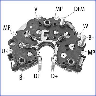 Taisngriezis, Ģenerators