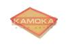 84552016530187620191217-5586-sll2jt