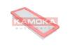 84552016531236620191217-5586-1au33js