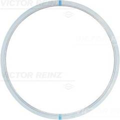 Blīve, Motora bloka galva