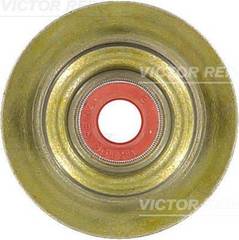 Blīvgredzens, Vārsta kāts