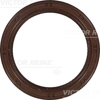 Vārpstas blīvgredzens, Kloķvārpsta