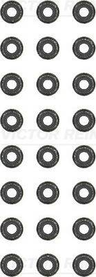 Blīvju komplekts, Vārsta kāts