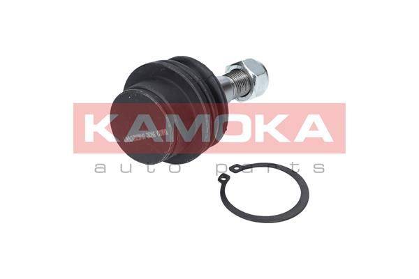 84552016530725920200202-3737-1vw0nyz