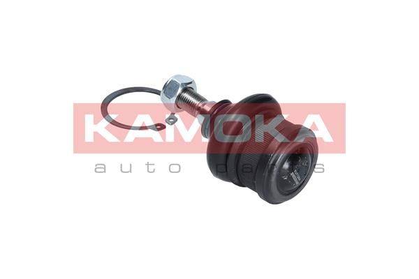 84552016531125720200202-31297-9hzo79