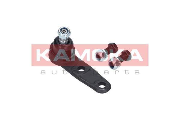 84552016531148620200202-31297-iahimi