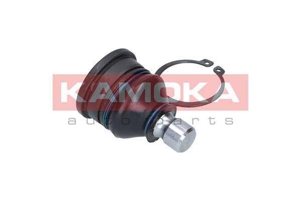 84552016530756820200304-13414-wdwnhk