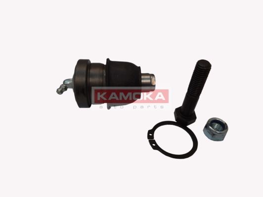 28257021187377520200304-13414-18lcm94