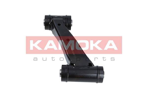 84552016531766120200304-20058-xnau1