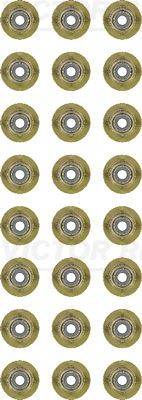 Blīvju komplekts, Vārsta kāts