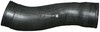 caurula 1117700400