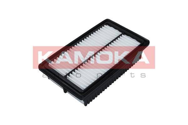 84552016531241320200423-8664-1b6kn1v