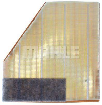 84552017550530320200711-25804-1ttr94u