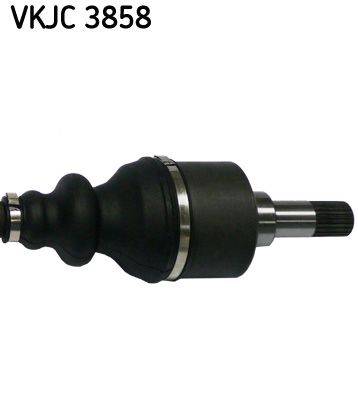Pusass gals VKJC3858