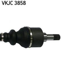 Pusass gals VKJC3858