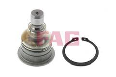 Balst-/Virzošais šarnīrs