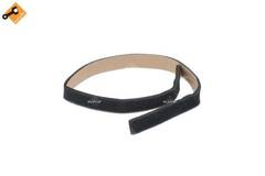 Siltummainis, Salona apsilde