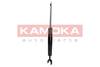 84552016532958520201026-26749-p73dmx