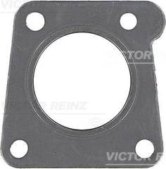 Blīve, Izplūdes kolektors