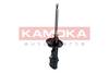 Amortizators