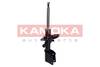 84552016532874520201130-27621-2zh6cx