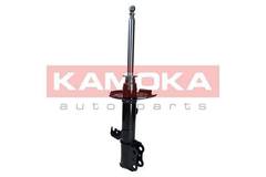 Amortizators