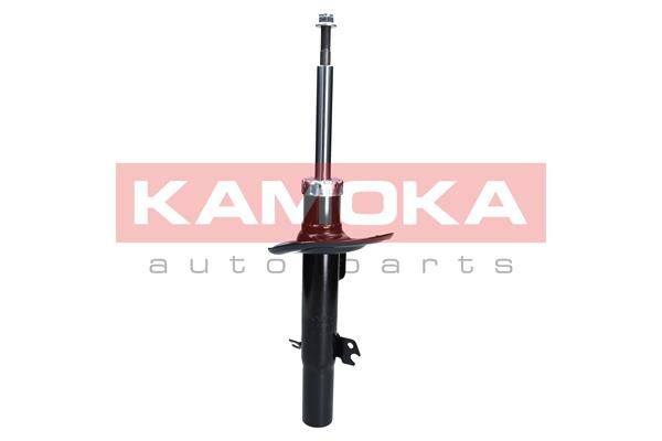 84552016532919320201130-27621-1eoi7bz