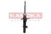 84552016532919320201130-27621-1eoi7bz