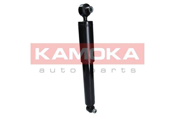 Amortizators