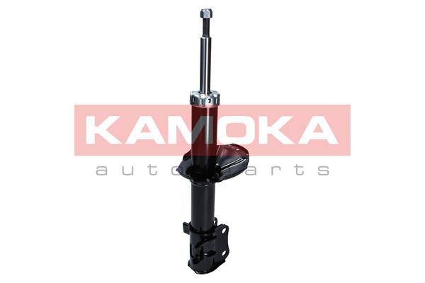 84552016532807820210324-18897-1g4uee5