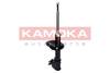 Amortizators