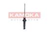 84552016532952120210424-3083-14ka7xf