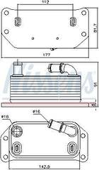 Eļļas radiators, Motoreļļa