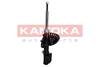 84552016532924820210513-6177-10nisg9