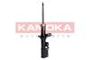 84552016532809820210811-11529-102uu8l