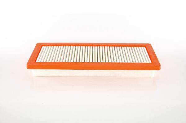 84552014985796420220118-28582-ryl3h3