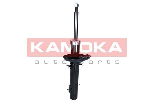 Amortizators