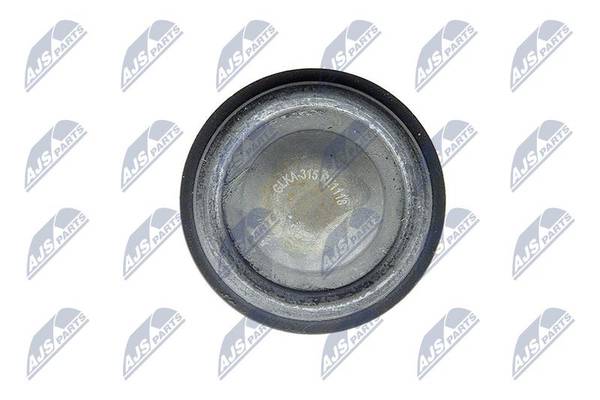 Balst-/Virzošais šarnīrs