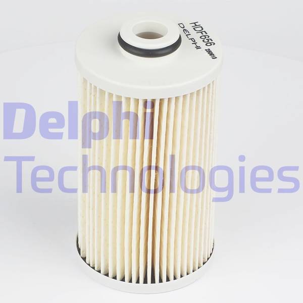 84552015570352520220817-1-1f6j75b