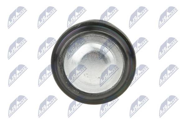 Balst-/Virzošais šarnīrs