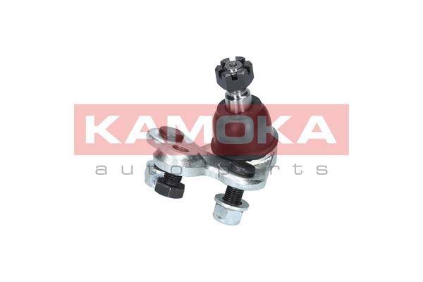 84552016531435120221109-1-jhrhzj