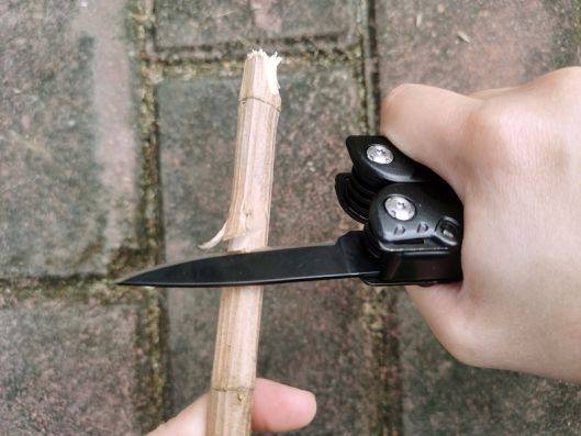 84552054915604720230120-1-2z2teg