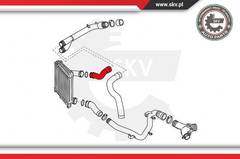 Caurule 43SKV165