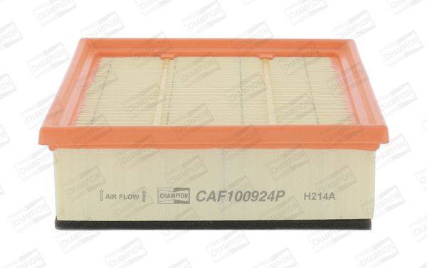 Gaisa filtrs CAF100924P