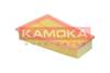 84552016533244420230918-1-12te5qv
